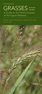 Grasses in Your Pocket