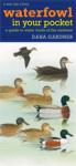 gardner-waterfowl